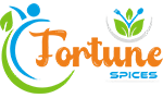 web-logo
